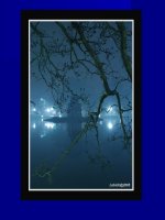 Quyền và nghĩa vụ CD trong hôn nhânT2