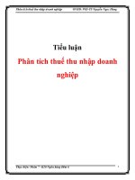 PHÂN TÍCH THUẾ THU NHẬP DOANH NGHIỆP
