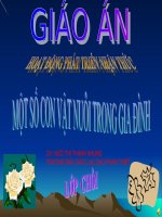 một số con vật sống trong gia đình