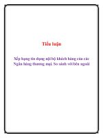 Tiểu Luận: Xếp Hạng Tín Dụng Nội Bộ Khách Hàng Của Các Ngân Hàng Thương Mại. So Sánh Với Bên Ngoài