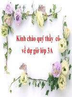 Bài 48 Quả - TNXH 3
