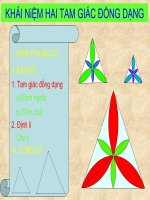 hai tam giác đồng dạng