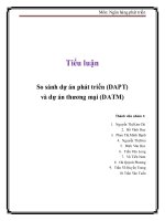 Tiểu Luận: So Sánh Dự Án Phát Triển (Dapt) Và Dự Án Thương Mại (Datm)