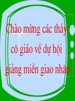Bài 31. Công nghệ tế bào