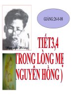 Tiết 3, 4: Trong lòng mẹ