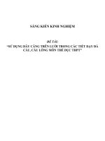 SKKN Sử dụng dây căng trên lưới trong các tiết dạy đá cầu, cầu lông môn Thể dục THPT