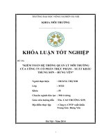 Kiểm toán hệ thống quản lý môi trường của công ty cổ phần thực phẩm  xuất khẩu trung sơn  hưng yên”