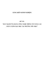 SKKN Đẩy mạnh ứng dụng công nghệ thông tin nâng cao chất lượng dạy học tại trường tiểu học