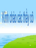 Cấu trúc của virut