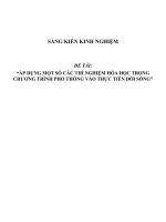 SKKN Áp dụng một số các thí nghiệm hóa học trong chương trình phổ thông vào thực tiễn đời sống