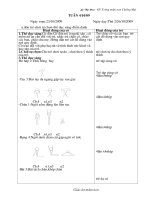 giao an MN (cai cach)