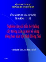 nghien cứu cải tiến hệ thống cây trồng cạn tại một số vùng đồng bào dân tộc tỉnh đồng nai