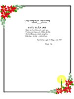 THƠ TẶNG ĐẢNG BỘ  XÃ TRỰC CƯỜNG  17/02/2011