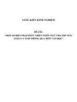 MỘT SỐ BIỆN PHÁP PHÁT TRIỂN NGÔN NGỮ CHO TRẺ MẪUGIÁO 5- 6 TUỔI THÔNG QUA MÔN VĂN HỌC