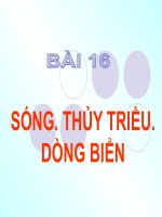 Bài 16 Sóng, Thủy triều, Dòng biển