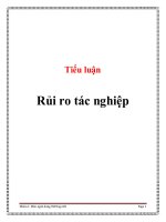 Tiểu Luận: Rủi Ro Tác Nghiệp