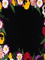 Cộng 3 tuần 7 Hoàng Ni ĐBL ĐN