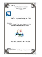 tiểu luận quản trị chuỗi cung ứng CÔNG TY TNHH NÔNG LÂM THỦY SẢN và XUẤT khẩu thương mại mười ánh