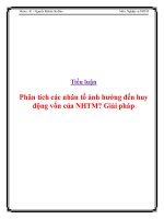 Tiểu Luận: Phân Tích Các Nhân Tố Ảnh Hưởng Đến Huy Động Vốn Của Nhtm? Giải Pháp