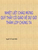 Ngữ văn 9- tuần 13