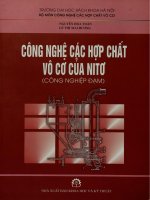 Công nghệ các hợp chất vô cơ của Nitơ (Công nghiệp đạm)