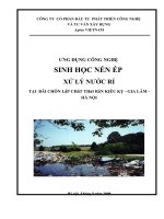 áp dụng công nghệ sinh học xử lý nước rỉ rác tại bãi chôn lấp chất thải rắn kiêu kỵ   gia lâm