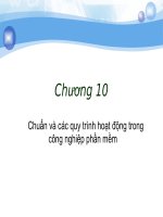 Bài giảng công nghệ phần mềm   chương 10  chuẩn và các quy trình hoạt động trong công nghiệp phần mềm