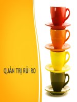 Slide Bài giảng Quản Trị Rủi Ro