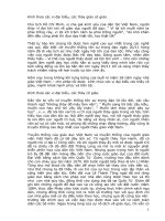 dien van 20 thang 11