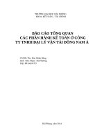 báo cáo tổng quan các phần hành kế toán công TY TNHH đại lý vận tải ĐÔNG NAM á