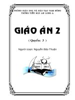 BÌA GIÁO ÁN LỚP 2 - 2010