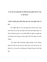 thảo luận đề tài Vì sao nói tư tưởng Hồ Chí Minh là chủ nghĩa Mác-Lê nin ở Việt Nam