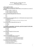 Đề Kiểm tra học kỳ 1, năm học 2010 - 2011