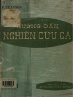 Hướng dẫn nghiên cứu cá - Chủ yếu cá nước ngọt
