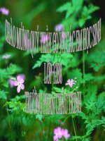 bai 40: quan xa sinh vat