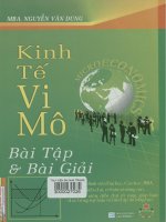 Kinh tế vi mô - Bài tập và bài giải