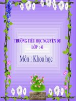 Khoa học 4_ánh sáng cần cho sự sống(tt)