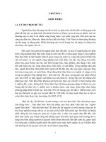 Phân tích thiệt hại môi trường do khai thác than ở quảng ninh giai đoạn 2008 2013 và giải pháp khai thác bền vững