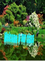 English 8 - Unit 11 - Speak