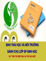 CHƯƠNG V: HỆ SINH THÁI(TT: CHU TRÌNH SĐH)