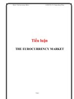 Tiểu Luận: The Euro Currency Market