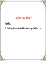 tiet 30   chiec la cuoi cung