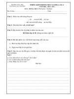 Đề kiểm định chất lượng môn Tiếng Việt NH 10-11