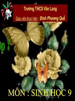 Khôi phục môi trường và gìn giữ thiên nhiên hoang dã