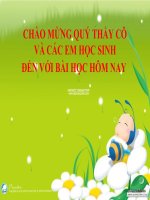 quá trình tổng hợp và phân giải ở vi sinh vật
