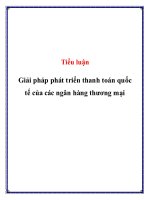 Tiểu Luận: Giải Pháp Phát Triển Thanh Toán Quốc Tế Của Các Ngân Hàng Thương Mại
