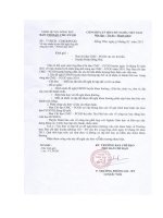 Số: 30/BCĐ-CMC&PCGD ngày 17/02/2011 v/v chuẩn bị cho Hội nghị Tổng kết công tác CMC - PCGD năm 2010