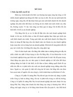 Thực trạng và giải pháp kế toán vốn bằng tiền tại Công ty Cổ phần Xi măng Phú Thọ