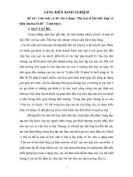 Sang Kien Kinh Nghiem Tìm hai số khi biết tổng và hiệu của hai số đó