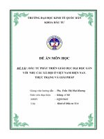 ĐẦU TƯ PHẤT TRIỂN GIÁO DỤC ĐẠI HỌC GẮN VỚI NHU CẦU XÃ HỘI Ở VIỆT NAM HIỆN NAY. THỰC TRẠNG VÀ GIẢI PHÁP